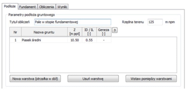 Obciążenia fundamentu palowego i pala